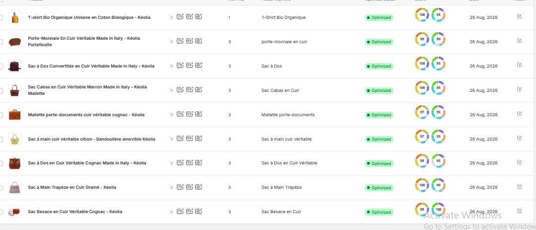 SEO & Search Visibility preview